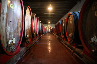 Soggiorno di una notte con visita alla cantina (2h) e degustazione enogastronomica in un agriturismo nel trevigiano