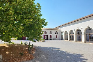 Degustazione di vini o aperitivo presso l’Agriturismo Rechsteiner in provincia di Treviso