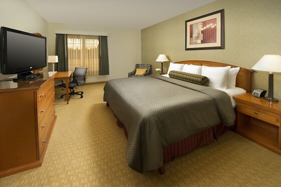 Online Booking EPS - photo 1