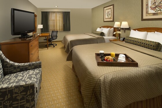 Online Booking EPS - photo 2