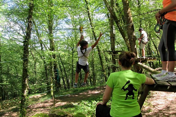Prehistobranche - photo 0