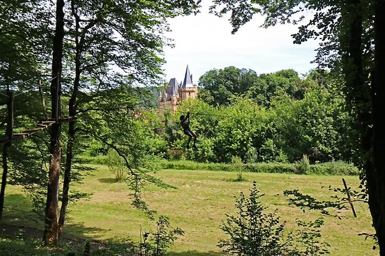 Prehistobranche - photo 1