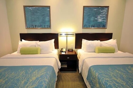 Online Booking EPS - photo 3