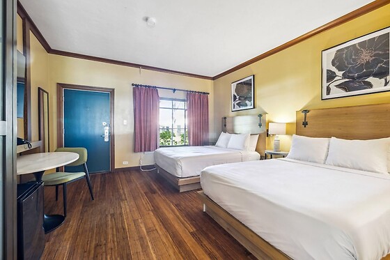Online Booking EPS - photo 1