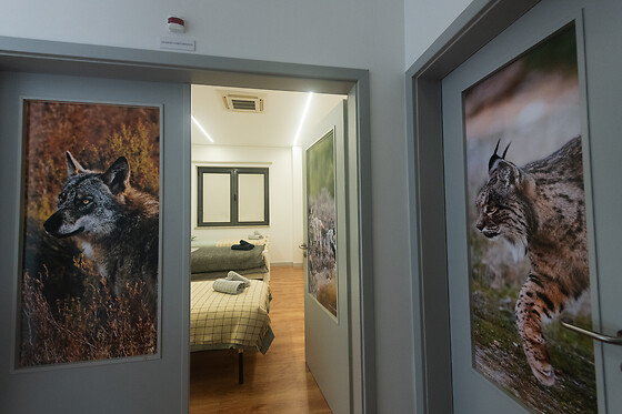 Centro Rewilding - photo 3