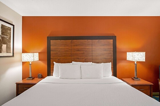 Online Booking EPS - photo 1