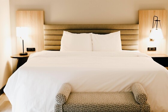 Online Booking EPS - photo 1