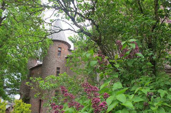 Château de Canac - photo 6