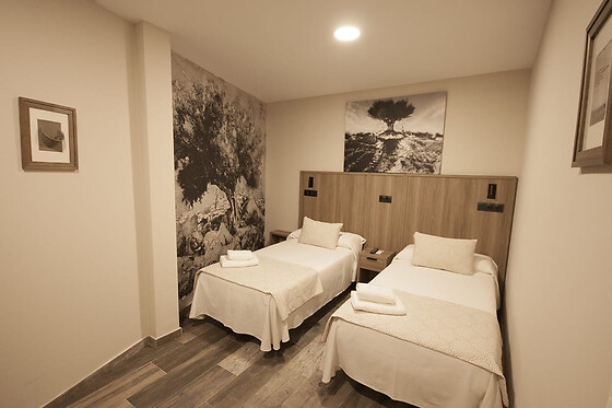 HOSTAL TEMÁTICO DE LA CIUDAD DE ARJONA DESDE LA JUDERÍA - photo 9