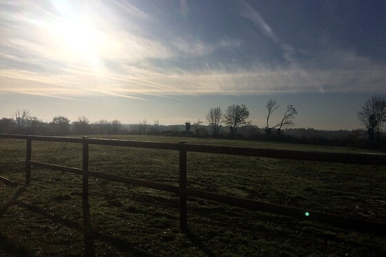 Centre Equestre de Bressuire - photo 2
