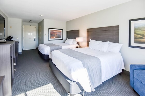 Online Booking EPS - photo 3