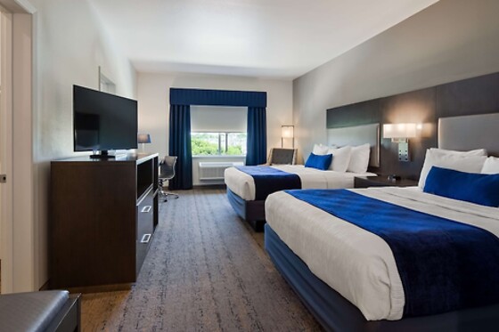 Online Booking EPS - photo 1