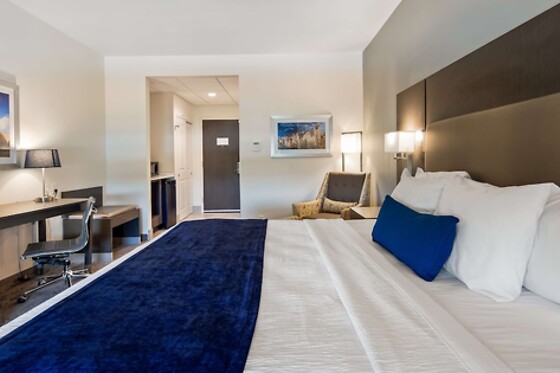 Online Booking EPS - photo 2