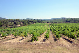 Les Terres de Saint Hilaire