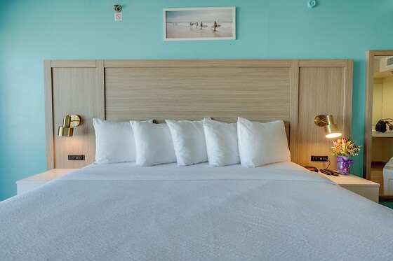 Online Booking EPS - photo 0