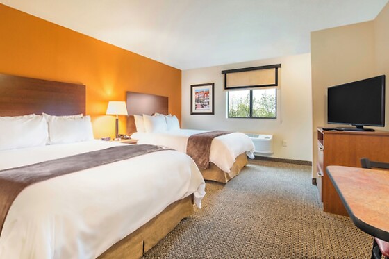 Online Booking EPS - photo 0
