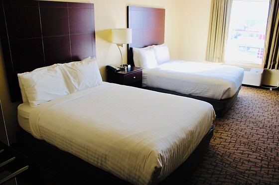 Online Booking EPS - photo 2