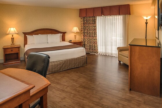 Online Booking EPS - photo 1