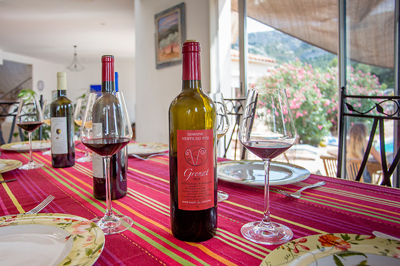 Domaine Vents du Sud - photo 15