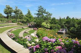 Terra Botanica
