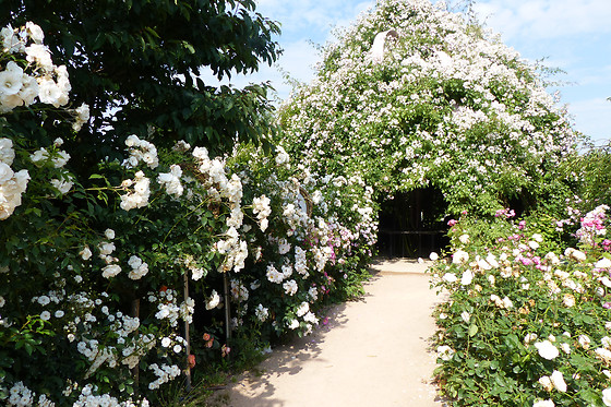 Terra Botanica - photo 2