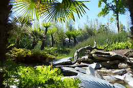 Terra Botanica