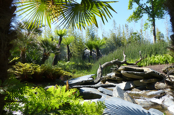 Terra Botanica - photo 1