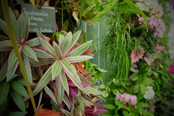 Terra Botanica - photo 5