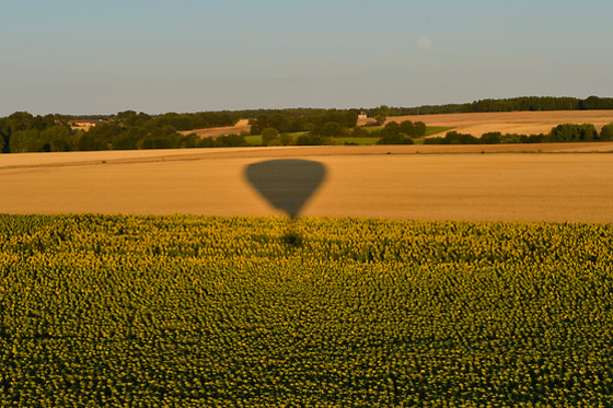 Art Montgolfières - photo 5