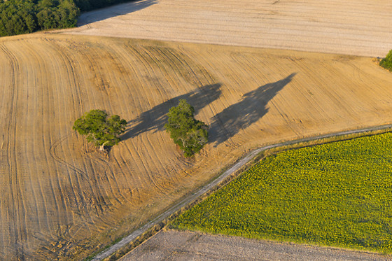 Art Montgolfières - photo 9