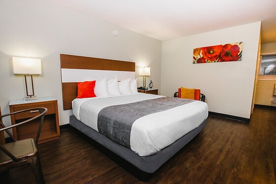 Online Booking EPS - photo 4