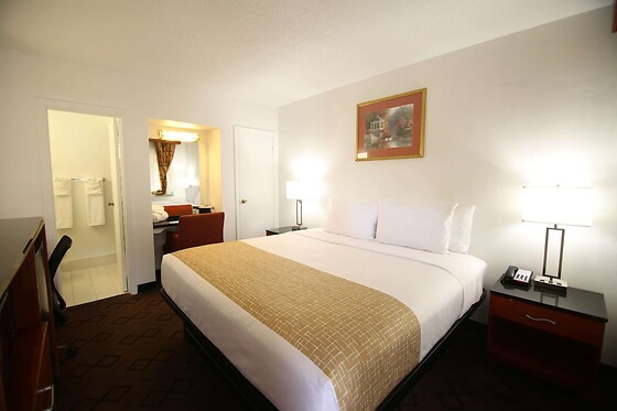 Online Booking EPS - photo 2