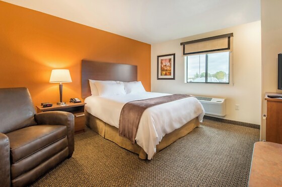 Online Booking EPS - photo 4