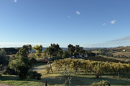 Azienda Agricola Bartolacci