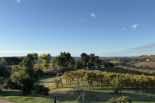 Passeggiata tra i vigneti con degustazione di vini all'Azienda Agricola Bartolacci in provincia di Pesaro e Urbino