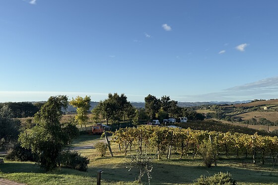Azienda Agricola Bartolacci - photo 9