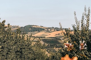 Notte insolita in Tenda Tipì con apericena e noleggio e-bike presso Glamping Casolara Valsamoggia (BO)
