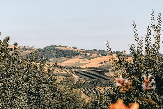 Tipì Glamping Casolara Valsamoggia - photo 9