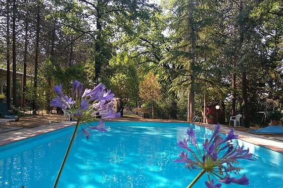 Online Booking EPS - photo 3