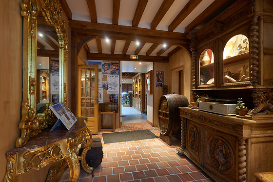 Hôtel et Spa Le lion d'or - photo 17
