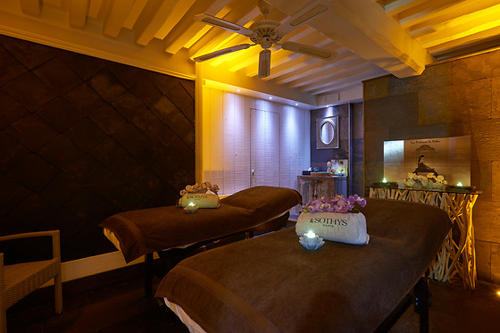 Hôtel et Spa Le lion d'or - photo 16