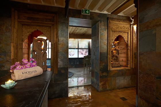 Hôtel et Spa Le lion d'or - photo 11