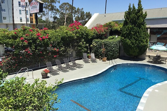 Online Booking EPS - photo 0