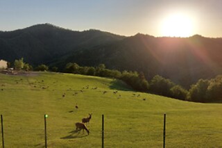 Soggiorno di una notte presso Antico Borgo I Cancelli in provincia di Firenze
