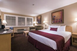 Online Booking EPS
