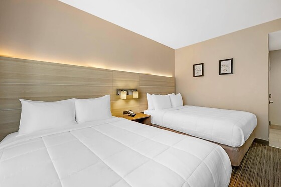 Online Booking EPS - photo 2