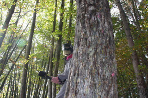 ASTUR PAINTBALL - photo 5