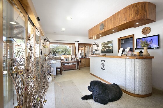 Online Booking EPS - photo 2