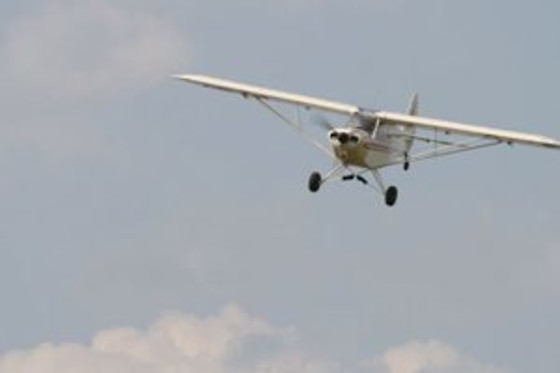 Alsafly - photo 9