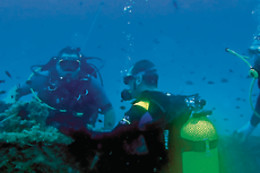 COSTA PALANCIA